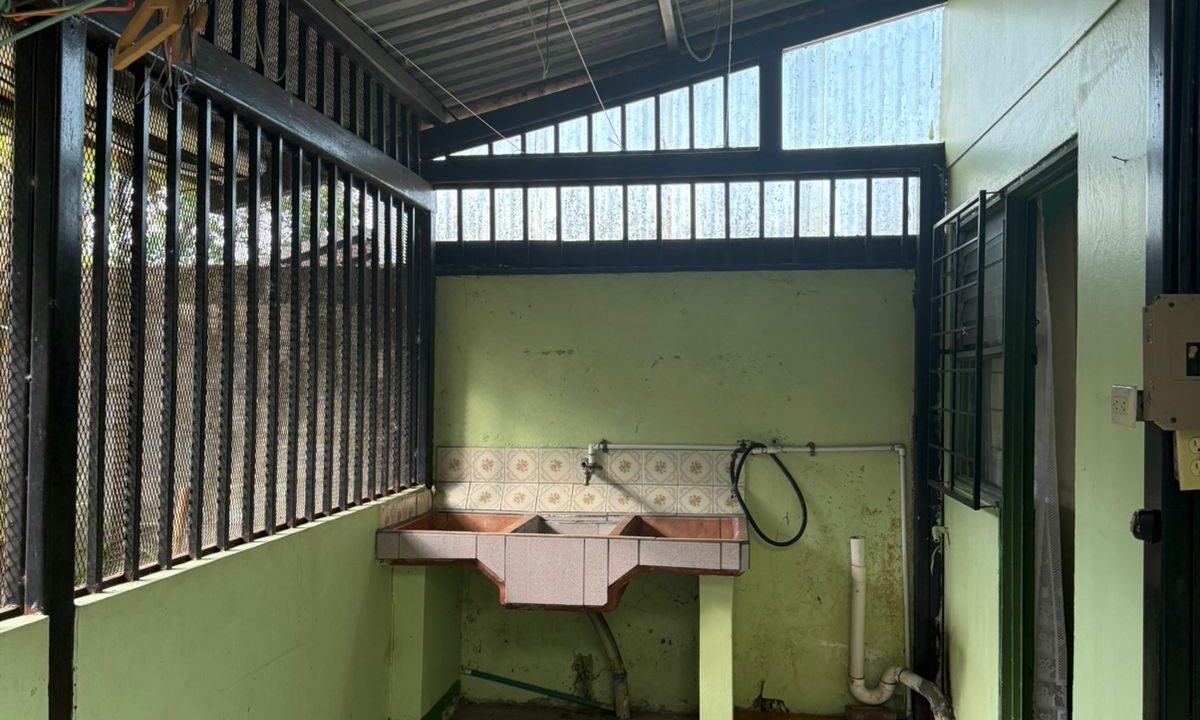 WhatsApp Image 2026-02-11 at 11.55.01