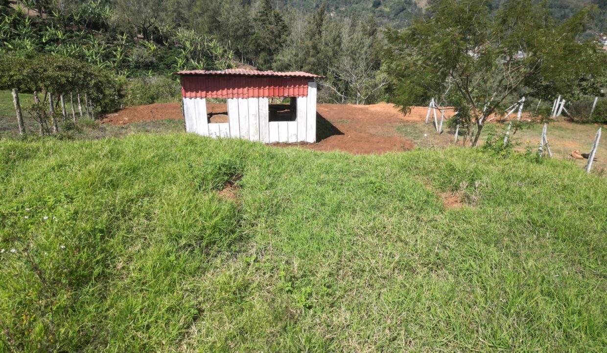 WhatsApp Image 2026-02-11 at 13.47.58 (9)