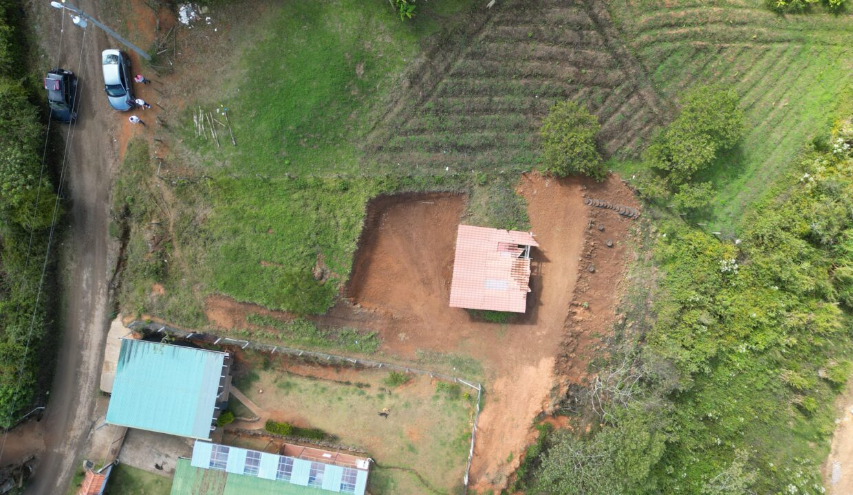 WhatsApp Image 2026-02-11 at 13.47.59