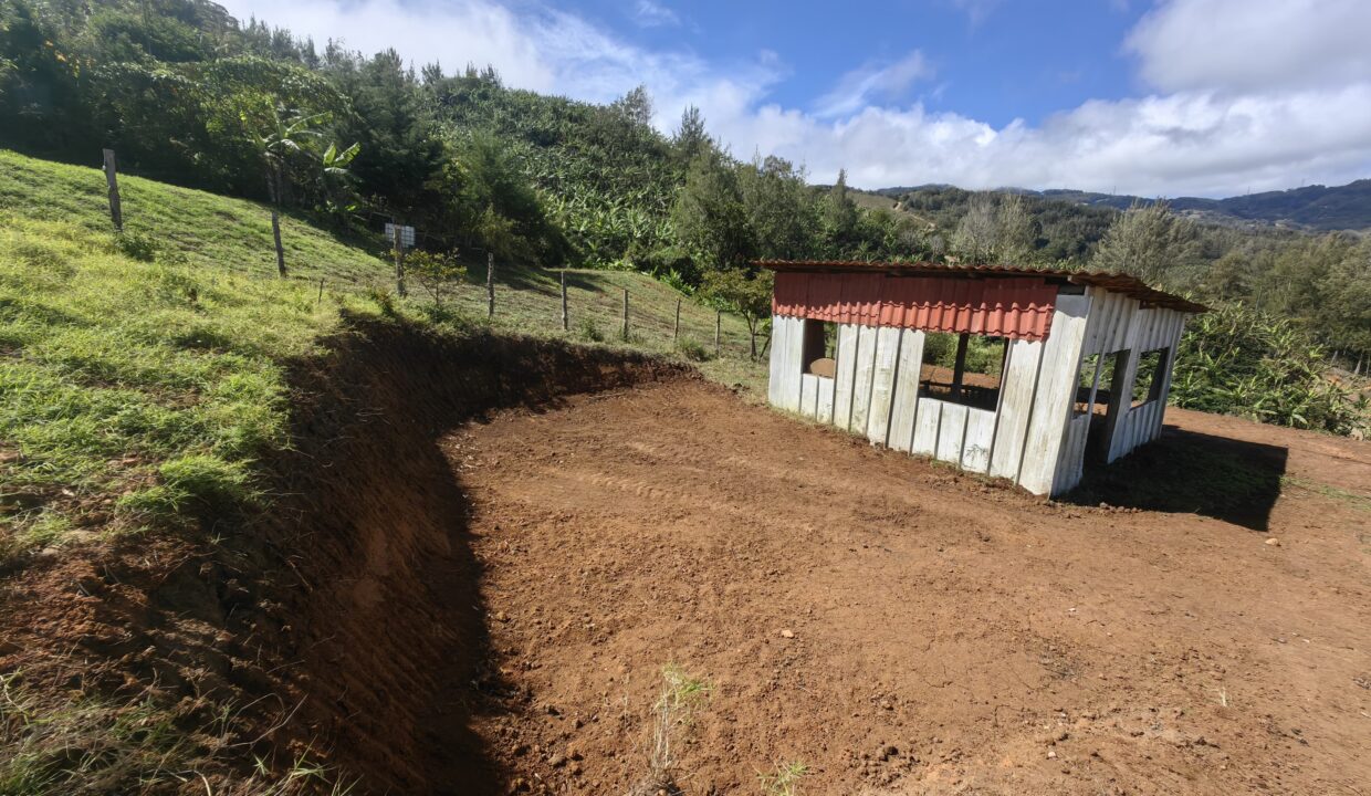 WhatsApp Image 2026-02-11 at 18.38.19 (1)