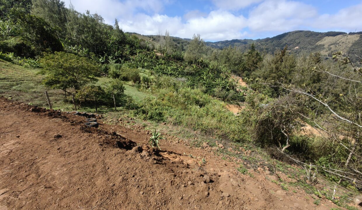 WhatsApp Image 2026-02-11 at 18.38.23