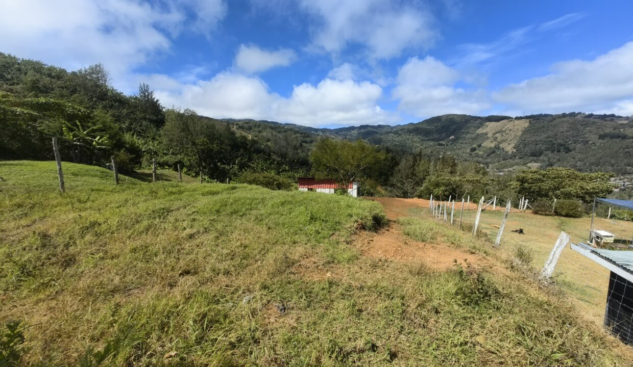 WhatsApp Image 2026-02-11 at 18.38.25 (2)