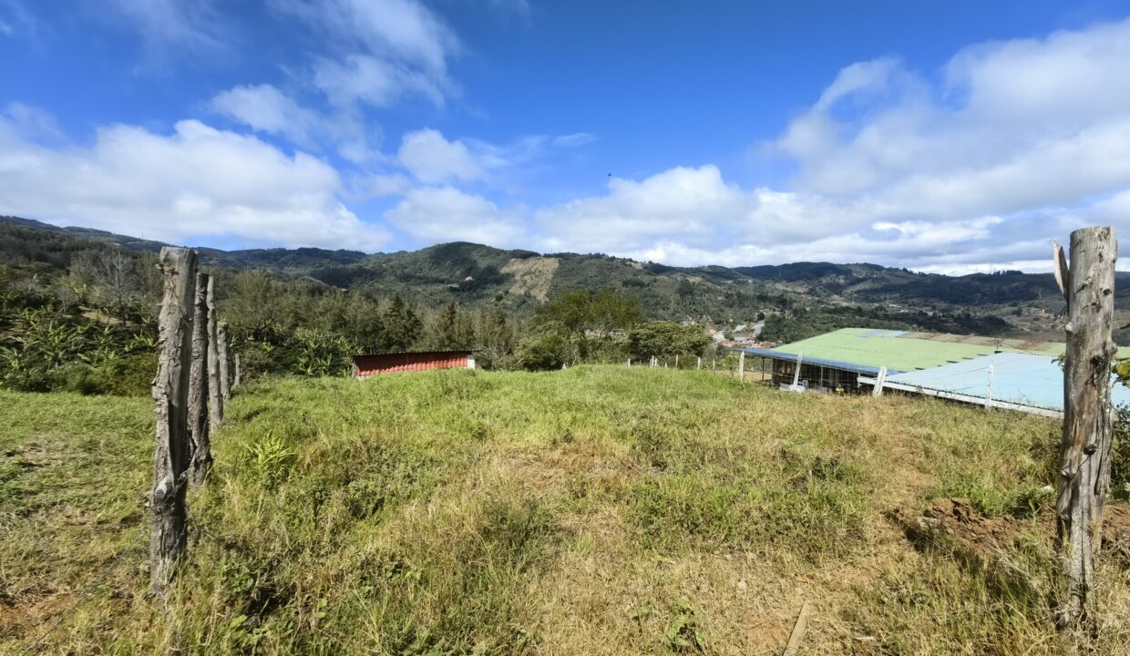 WhatsApp Image 2026-02-11 at 18.38.25 (4)