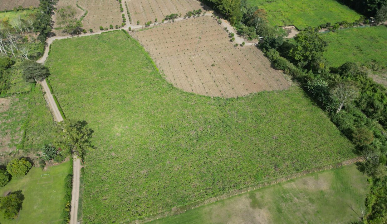 WhatsApp Image 2026-02-18 at 15.25.15 (2)