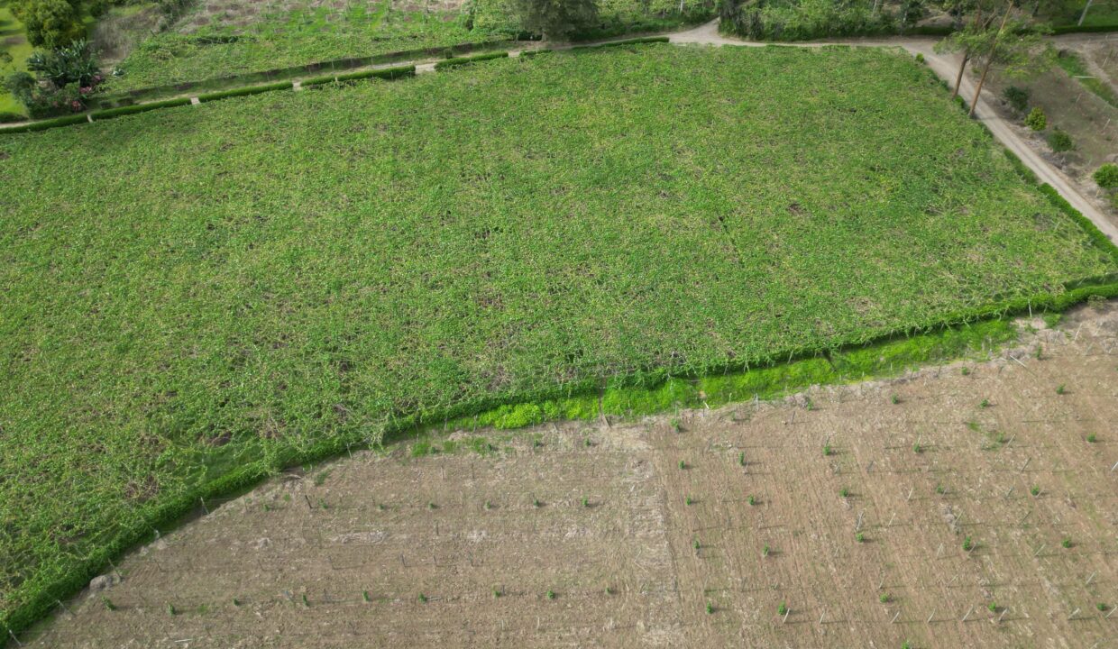 WhatsApp Image 2026-02-18 at 15.25.30 (2)