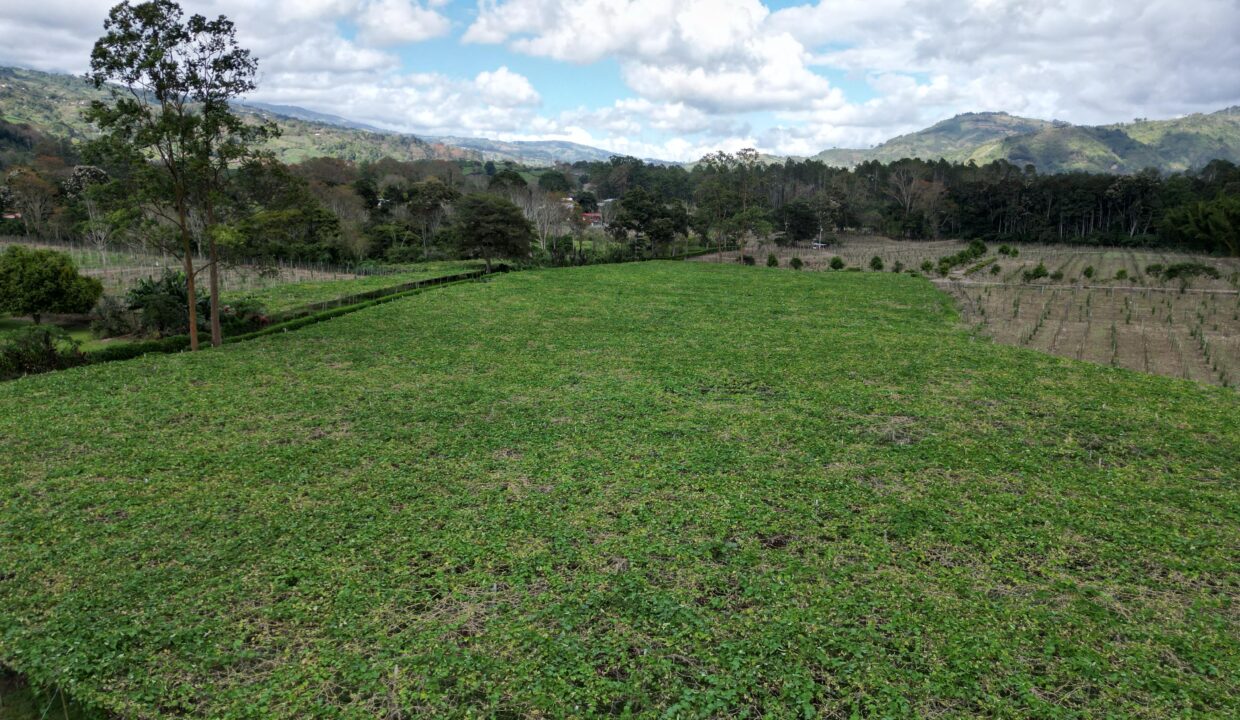 WhatsApp Image 2026-02-18 at 15.25.30 (3)