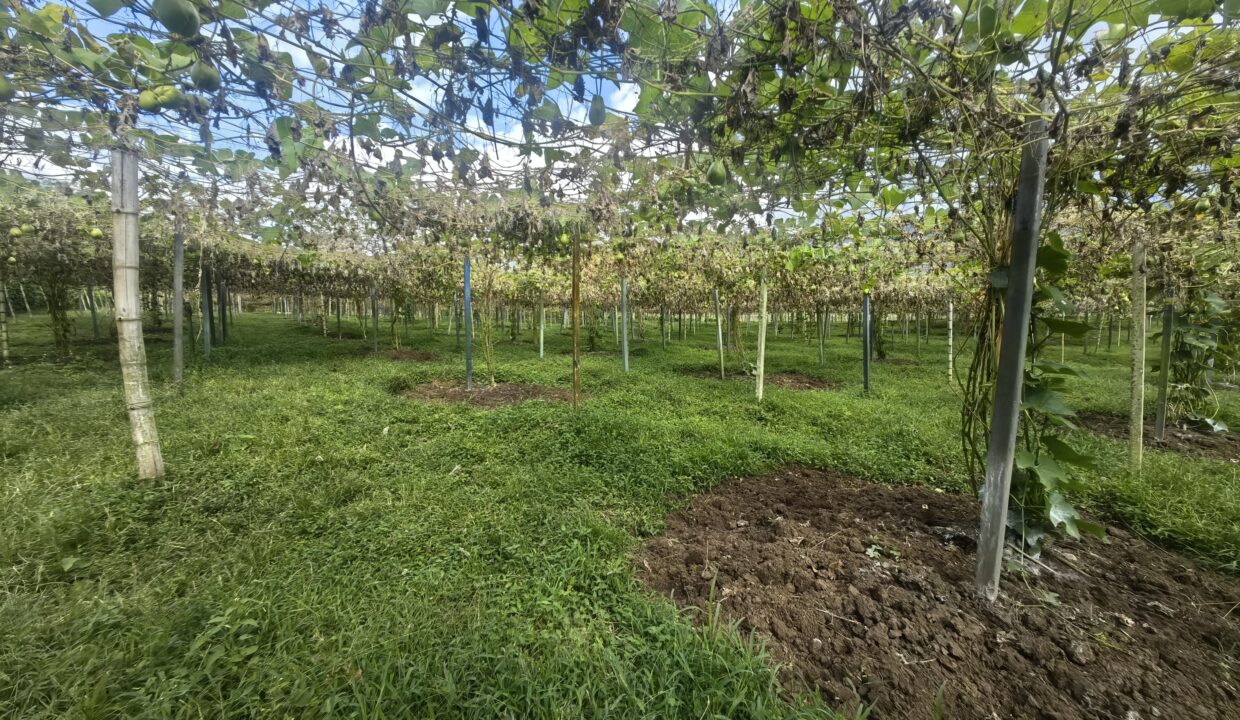 WhatsApp Image 2026-02-18 at 16.10.45