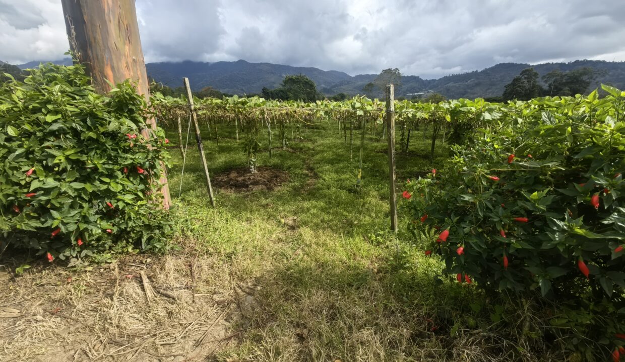 WhatsApp Image 2026-02-18 at 16.10.46 (1)