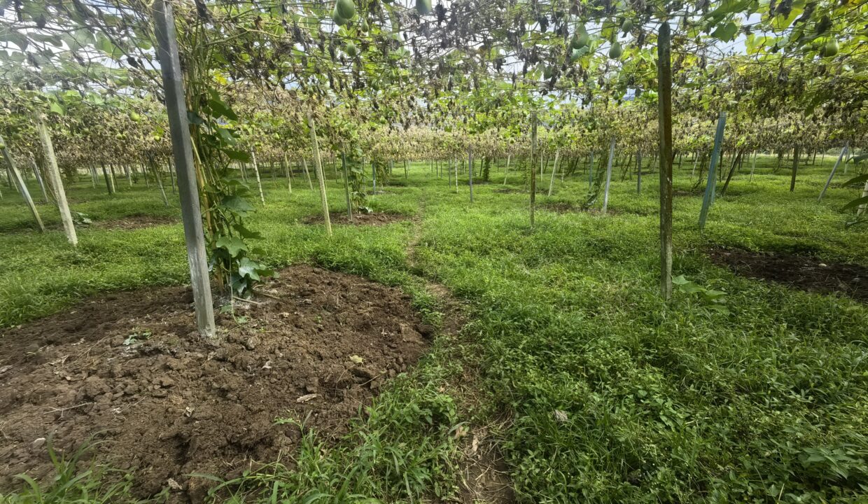 WhatsApp Image 2026-02-18 at 16.10.46