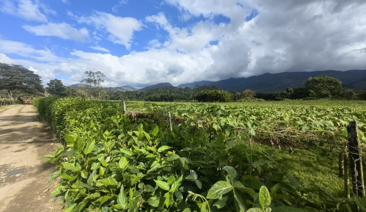 WhatsApp Image 2026-02-18 at 16.10.47 (1)