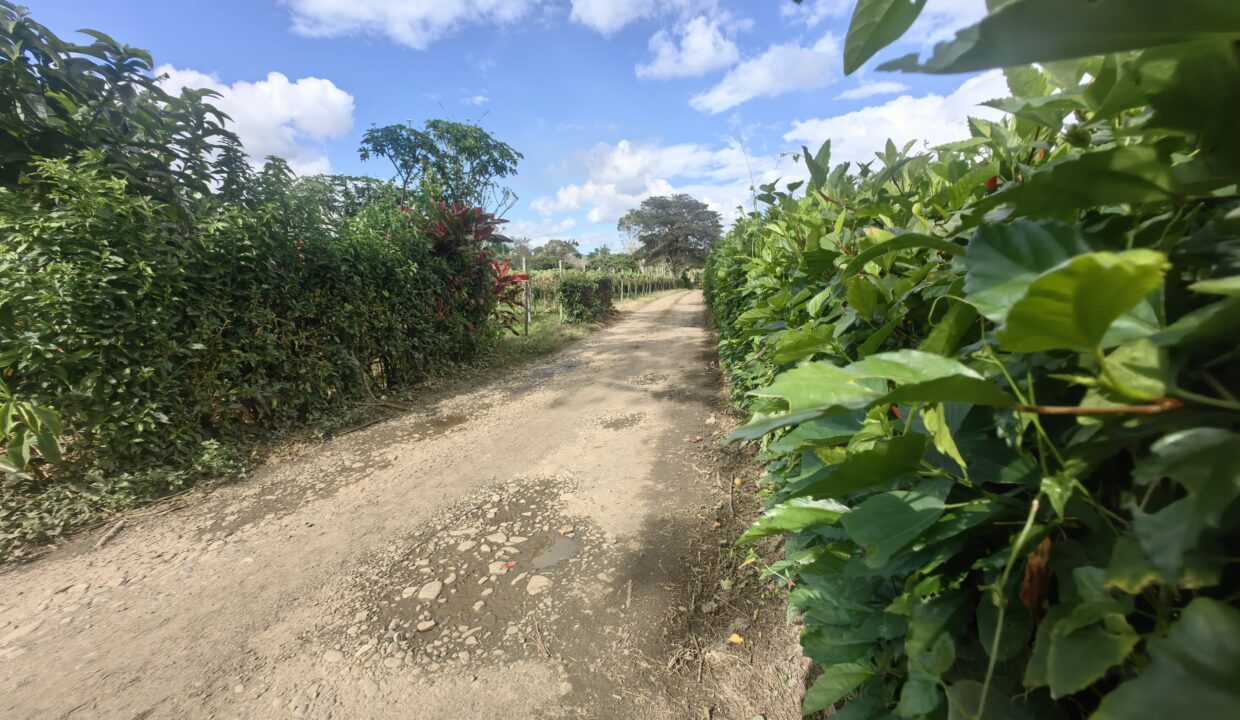 WhatsApp Image 2026-02-18 at 16.10.47