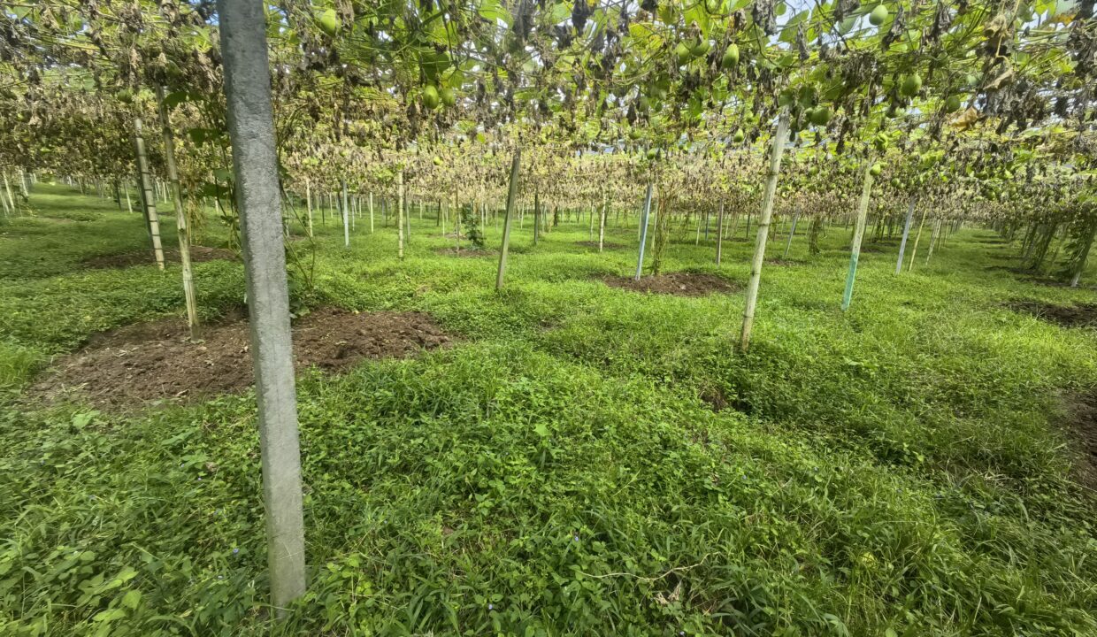 WhatsApp Image 2026-02-18 at 16.10.47 (2)