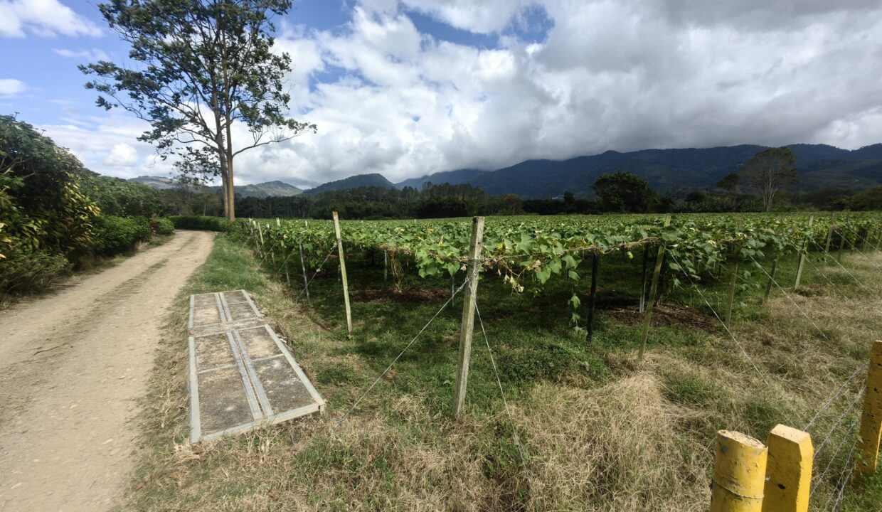 WhatsApp Image 2026-02-18 at 16.10.48 (1)