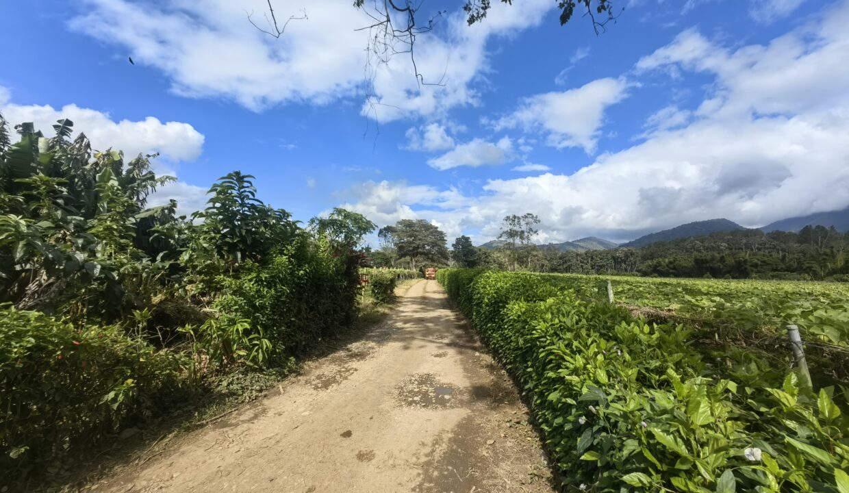 WhatsApp Image 2026-02-18 at 16.10.48