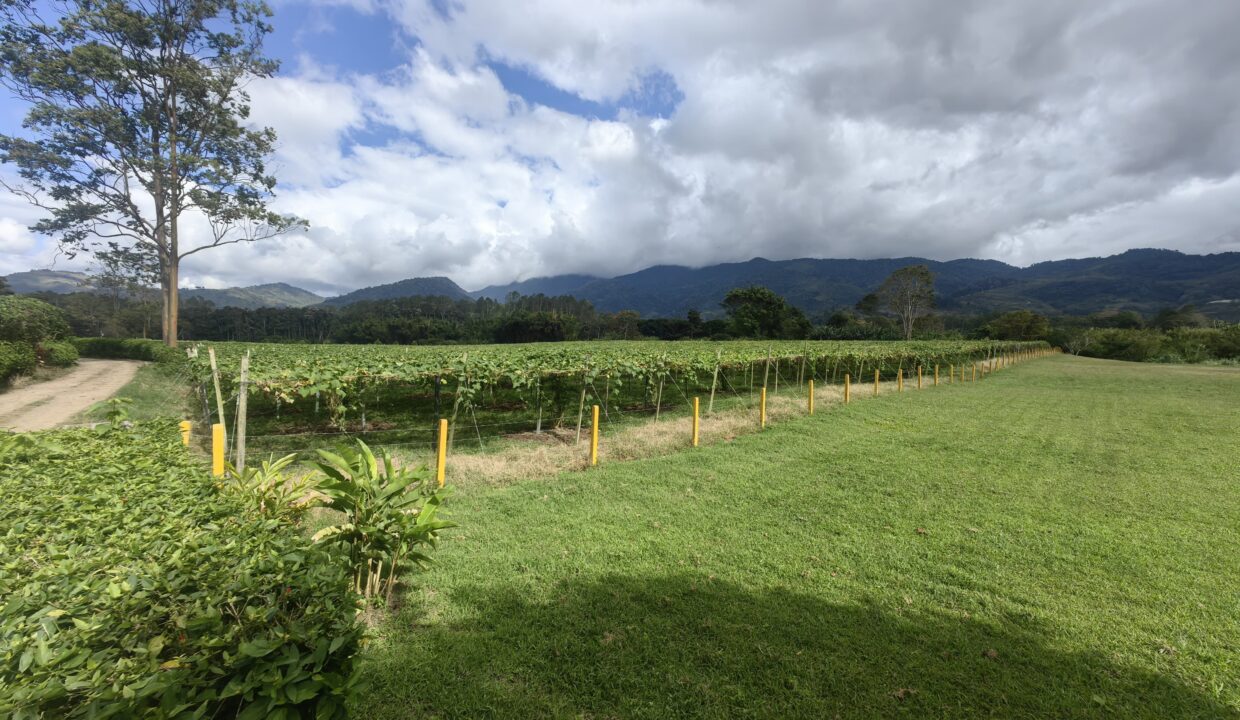 WhatsApp Image 2026-02-18 at 16.10.48 (2)