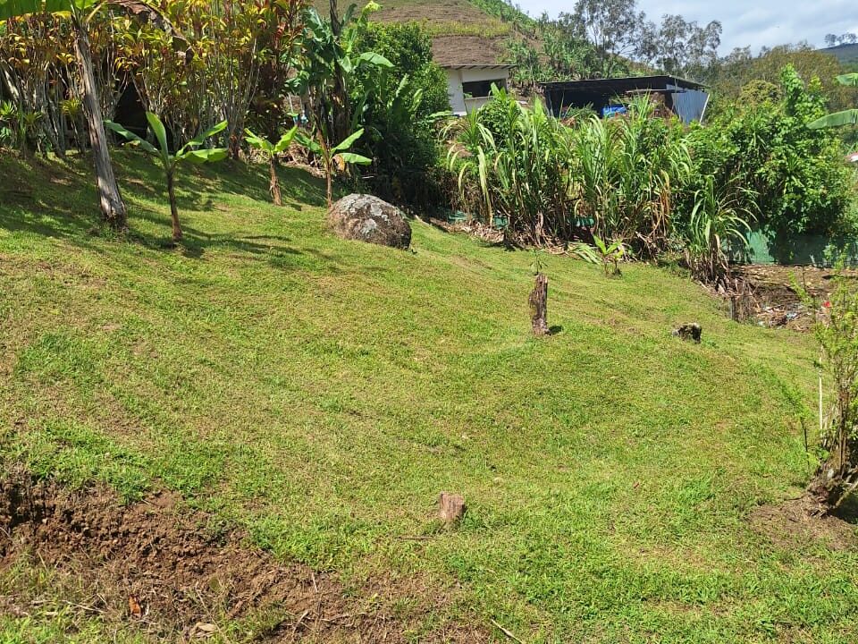 WhatsApp Image 2026-02-25 at 13.35.44