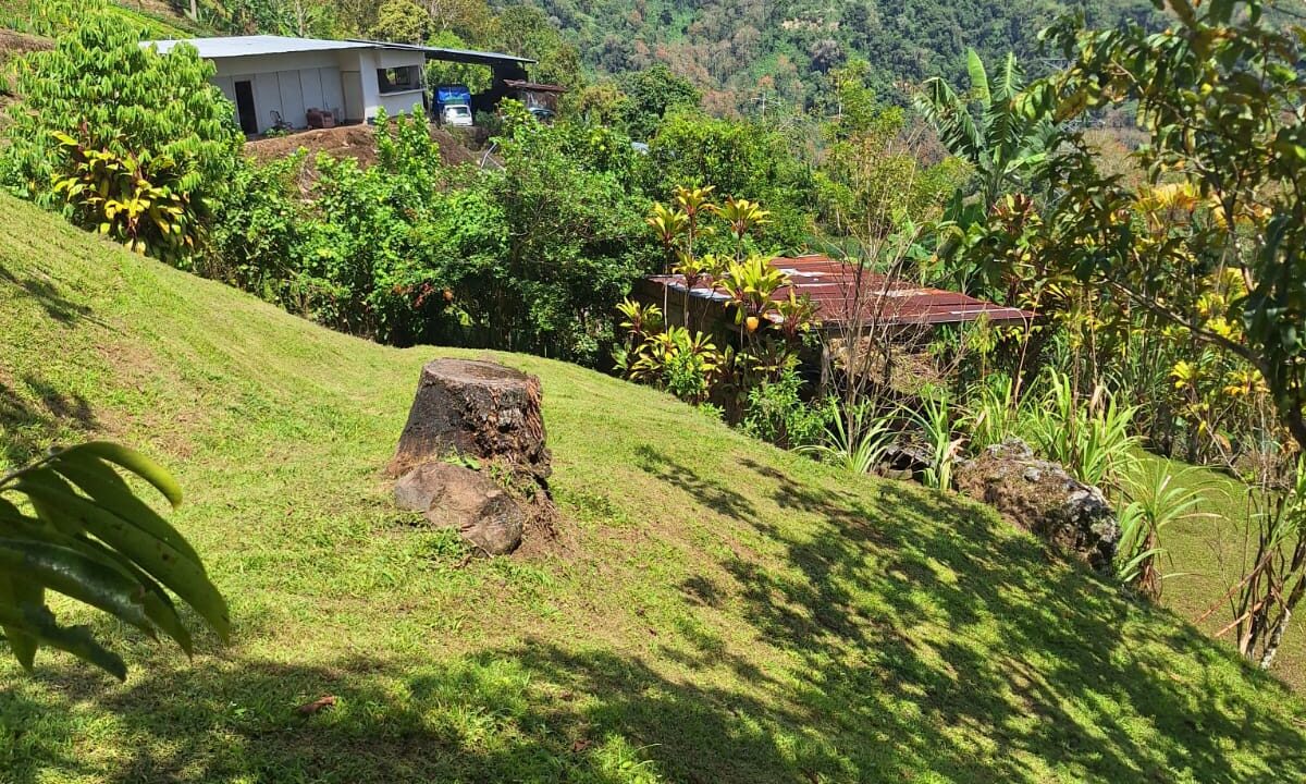 WhatsApp Image 2026-02-25 at 13.35.47