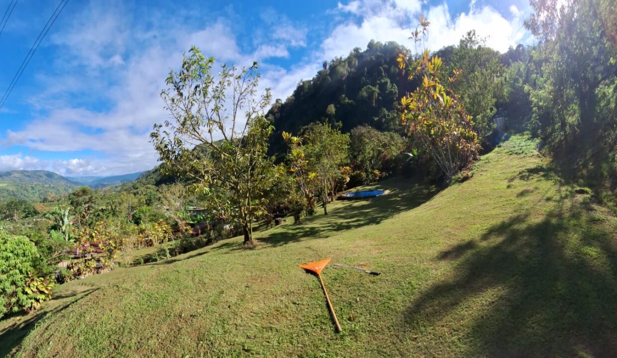 WhatsApp Image 2026-02-25 at 13.37.19