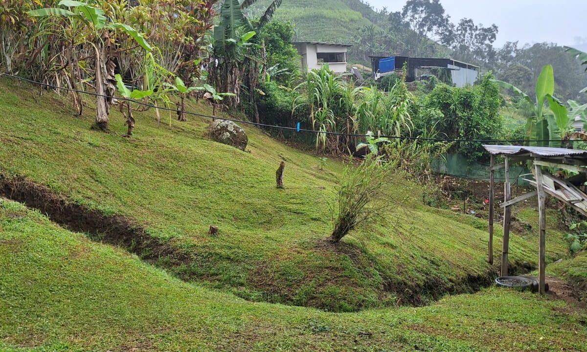 WhatsApp Image 2026-02-25 at 13.37.29