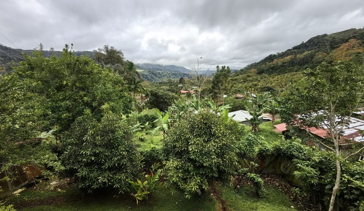 WhatsApp Image 2026-02-25 at 14.29.53