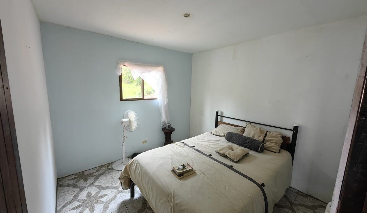 WhatsApp Image 2026-02-25 at 14.29.59