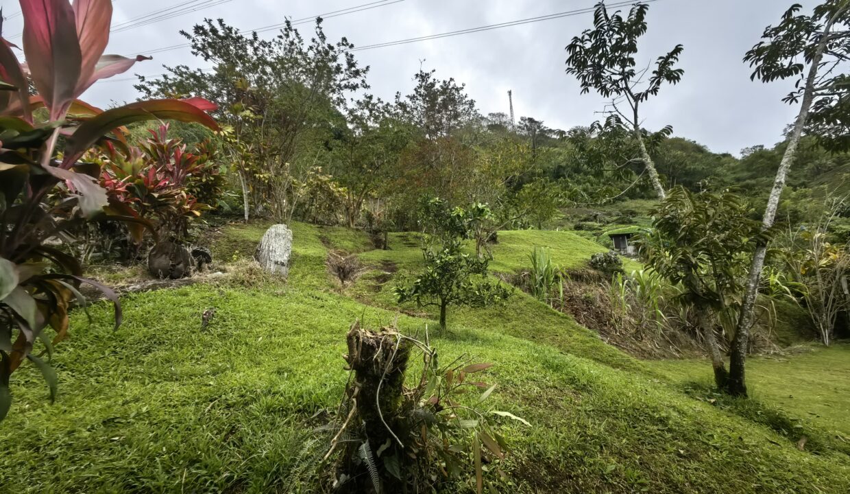 WhatsApp Image 2026-02-25 at 14.30.17