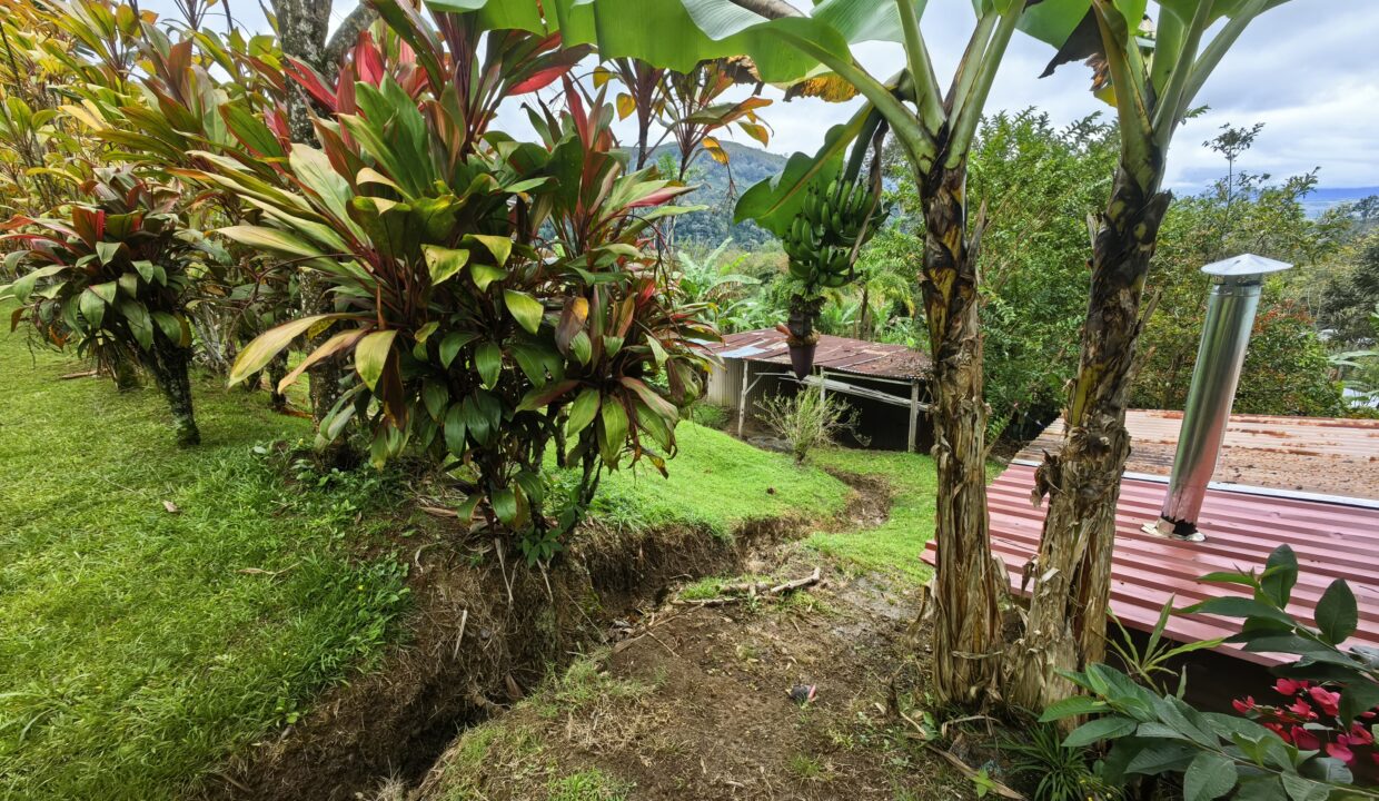 WhatsApp Image 2026-02-25 at 14.31.21