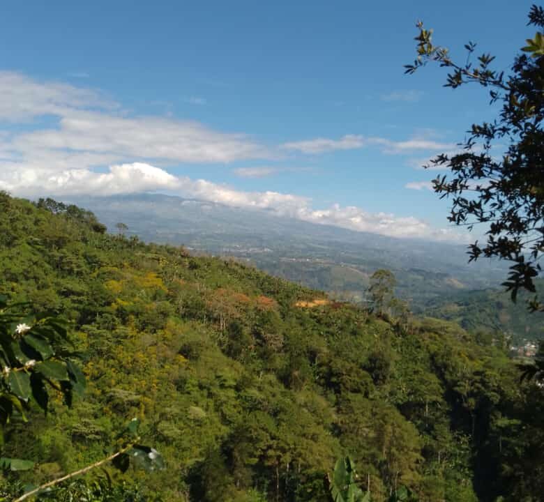 Finca Los Solano - Orosi 2024-09-25 at 07.56.39