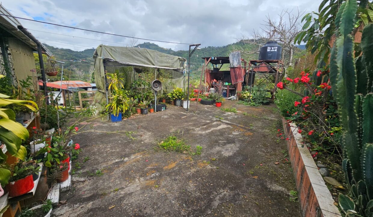 WhatsApp Image 2026-03-02 at 10.07.43 (5)