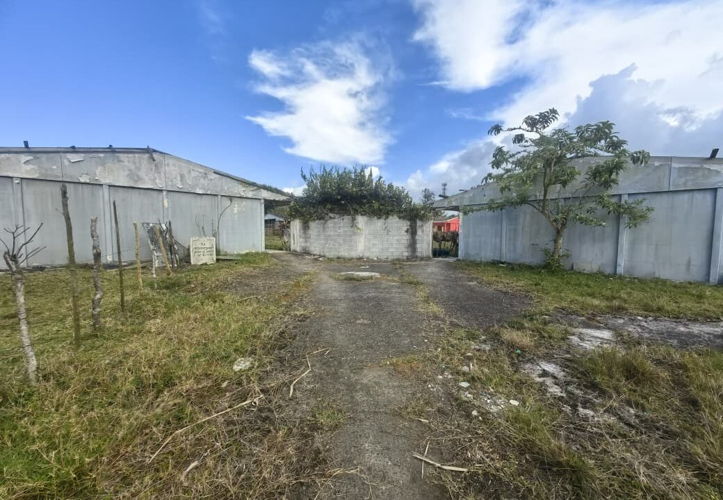 WhatsApp Image 2026-03-06 at 11.27.41 (1)