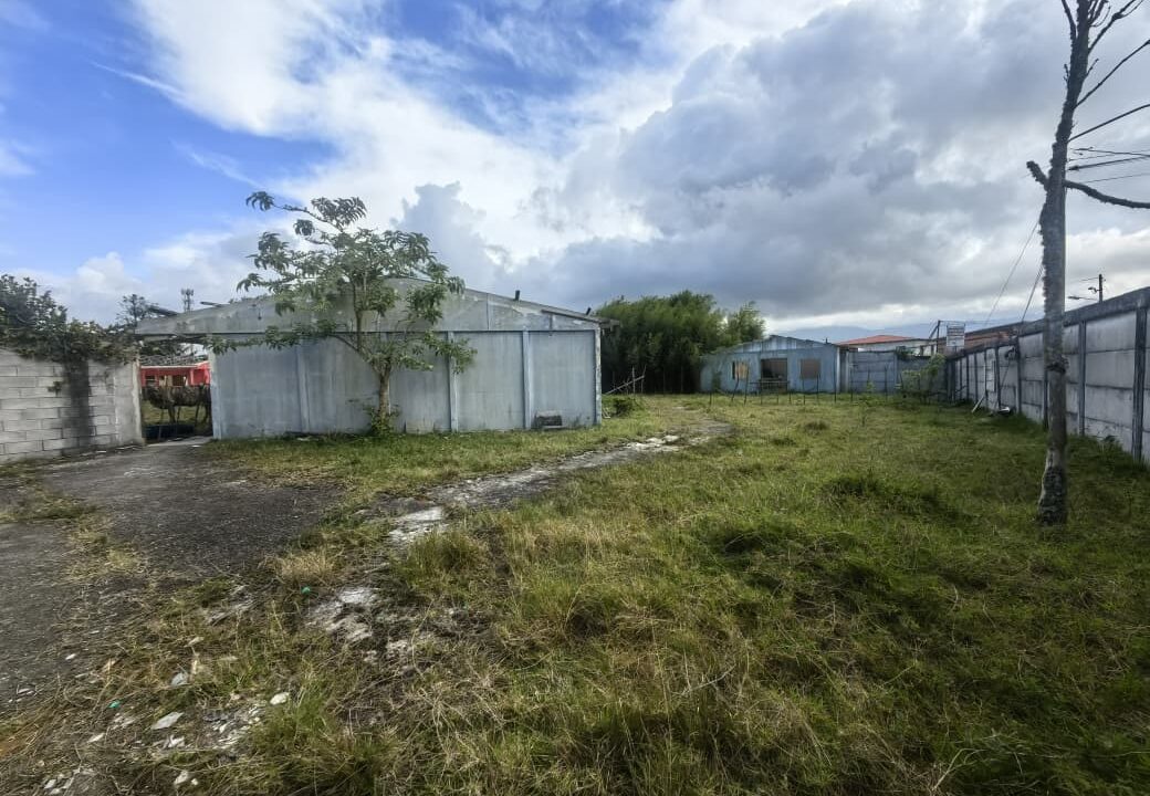 WhatsApp Image 2026-03-06 at 11.27.41