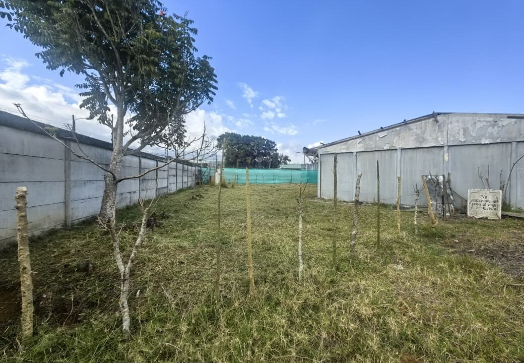 WhatsApp Image 2026-03-06 at 11.28.13