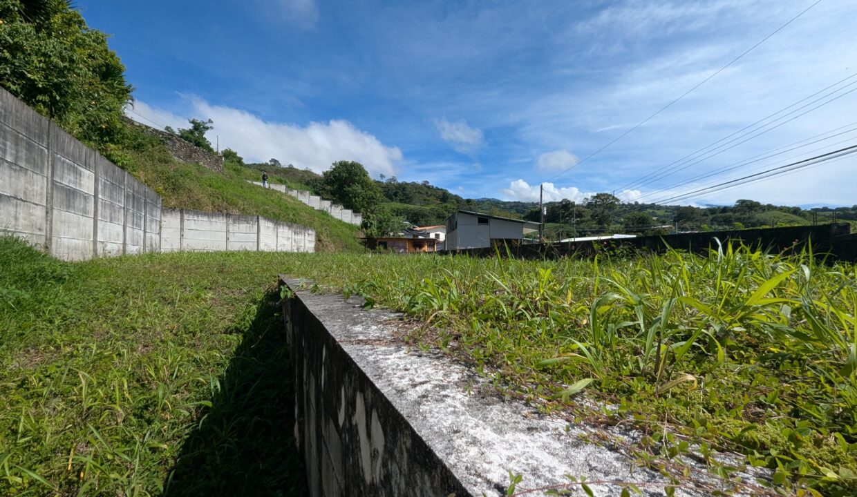 WhatsApp Image 2026-03-09 at 18.10.21 (1)