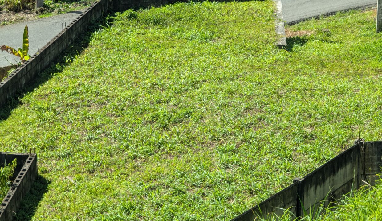 WhatsApp Image 2026-03-09 at 18.10.24 (1)