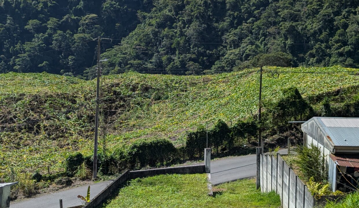 WhatsApp Image 2026-03-09 at 18.10.25