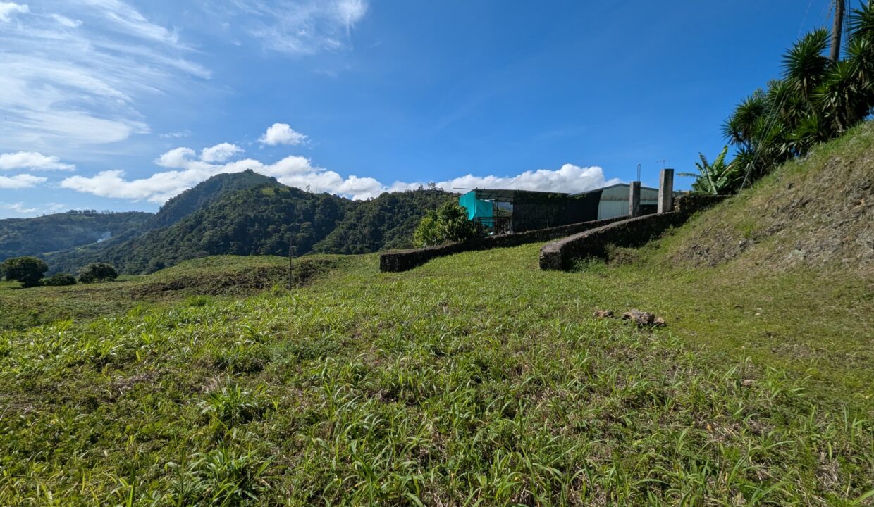 WhatsApp Image 2026-03-09 at 18.10.26 (2)