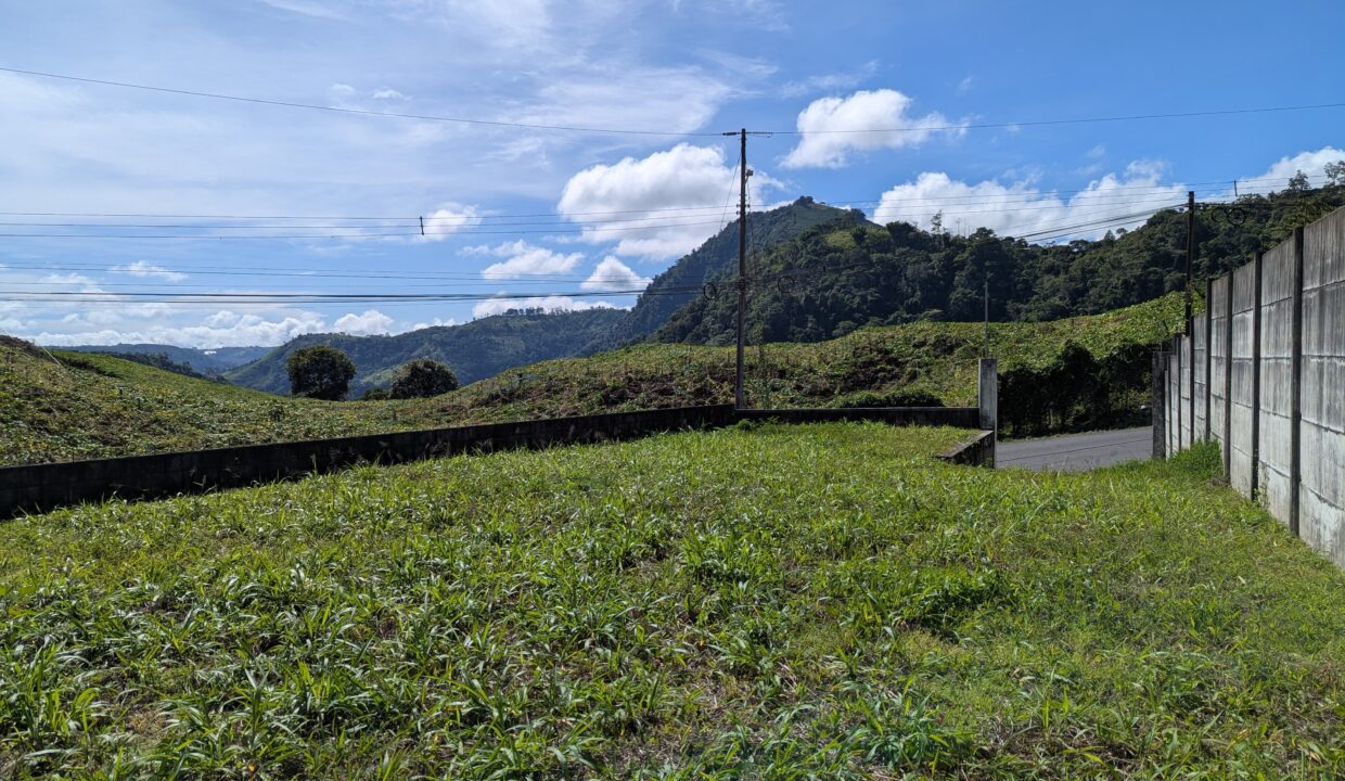 WhatsApp Image 2026-03-09 at 18.11.02