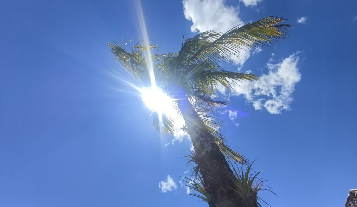 WhatsApp Image 2026-03-13 at 13.28.19 (1)