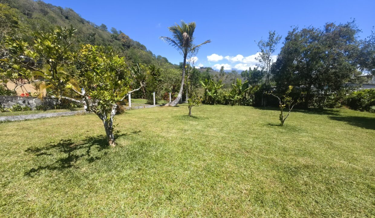 WhatsApp Image 2026-03-13 at 13.28.44