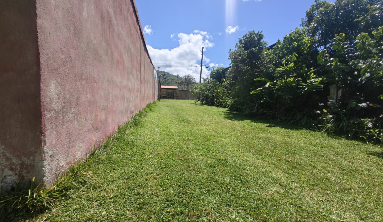 WhatsApp Image 2026-03-13 at 13.28.54