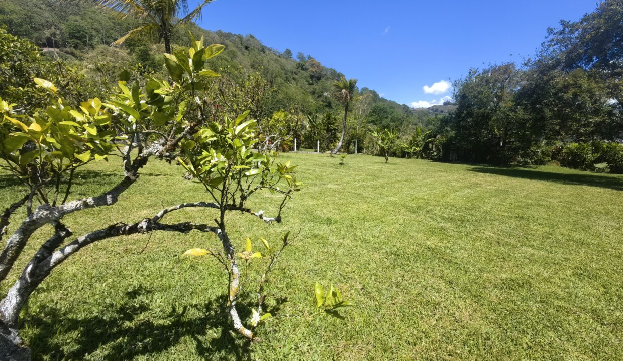 WhatsApp Image 2026-03-13 at 13.28.55