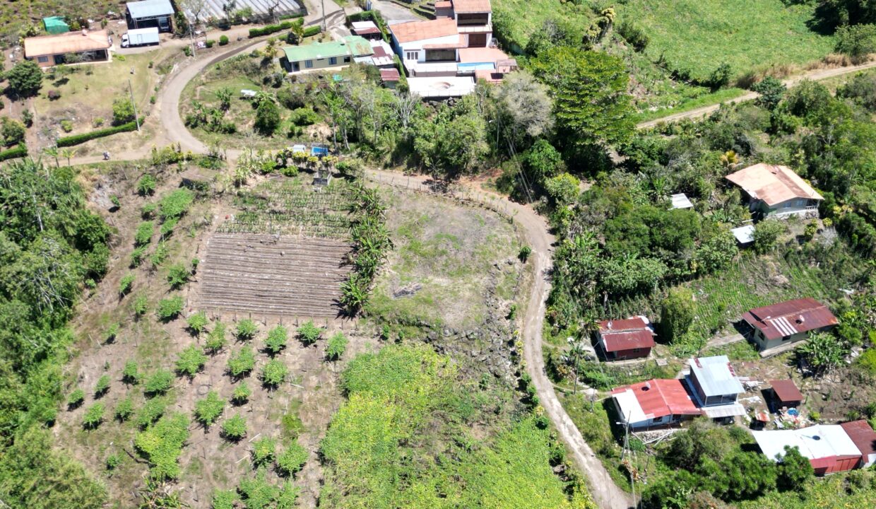 WhatsApp Image 2026-03-13 at 14.00.30 (11)