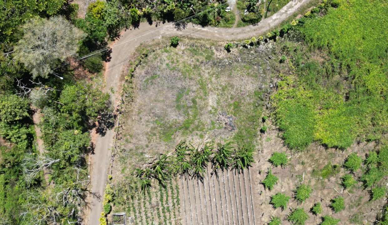 WhatsApp Image 2026-03-13 at 14.00.30 (12)