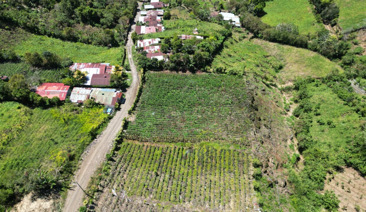 WhatsApp Image 2026-03-13 at 14.00.30 (2)