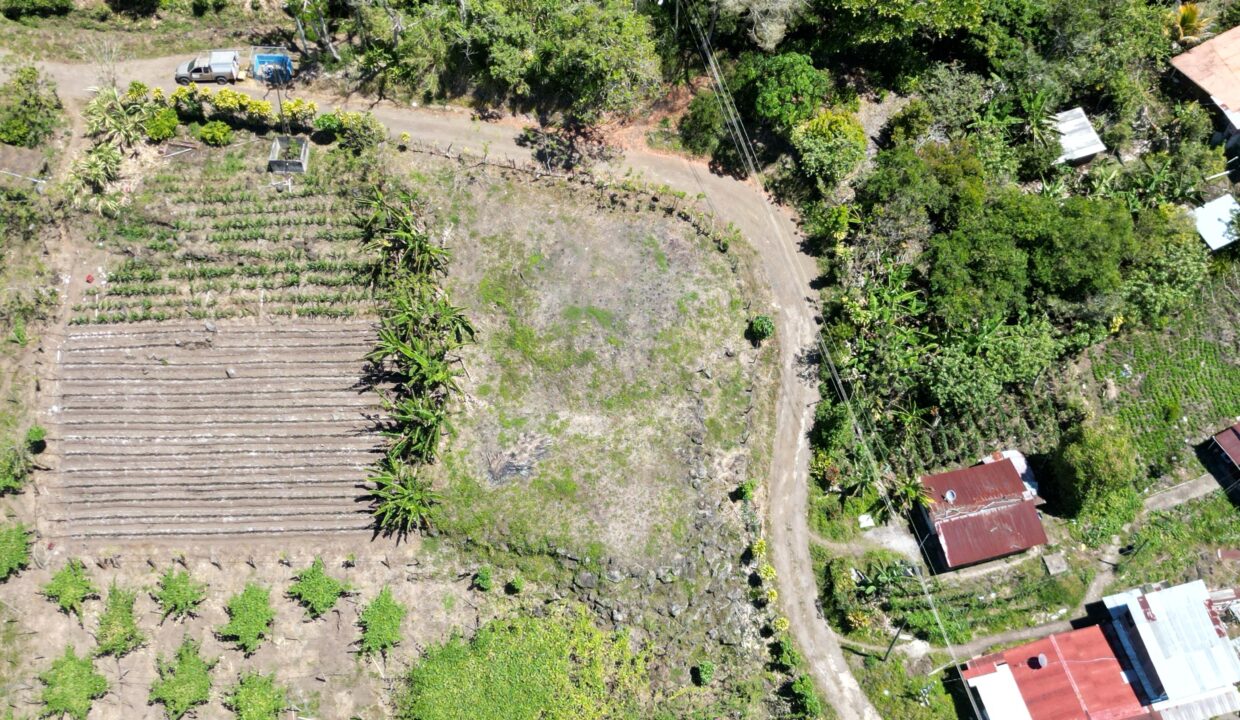 WhatsApp Image 2026-03-13 at 14.00.30 (5)