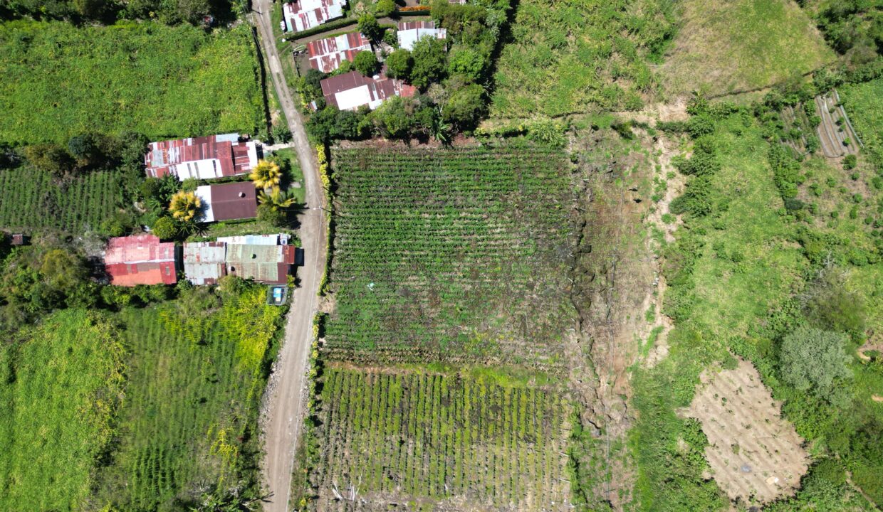 WhatsApp Image 2026-03-13 at 14.00.30 (9)