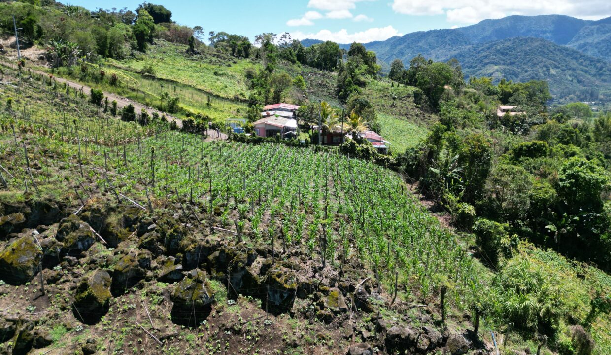 WhatsApp Image 2026-03-13 at 14.00.31 (12)