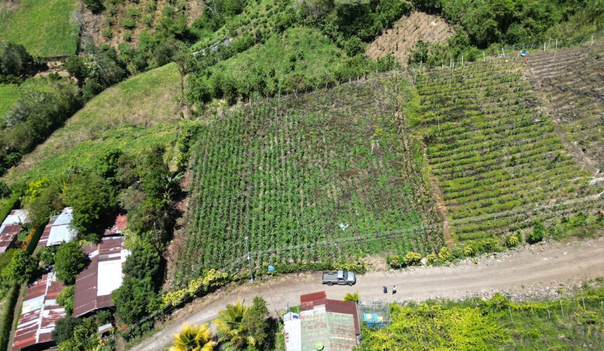 WhatsApp Image 2026-03-13 at 14.00.31