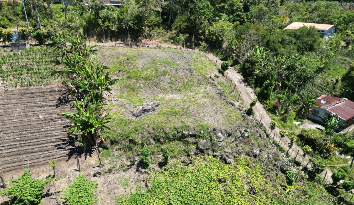 WhatsApp Image 2026-03-13 at 14.00.31 (13)