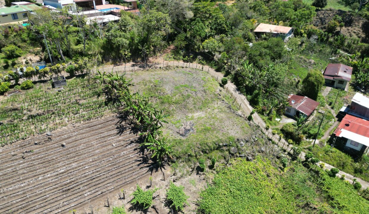 WhatsApp Image 2026-03-13 at 14.00.31 (15)